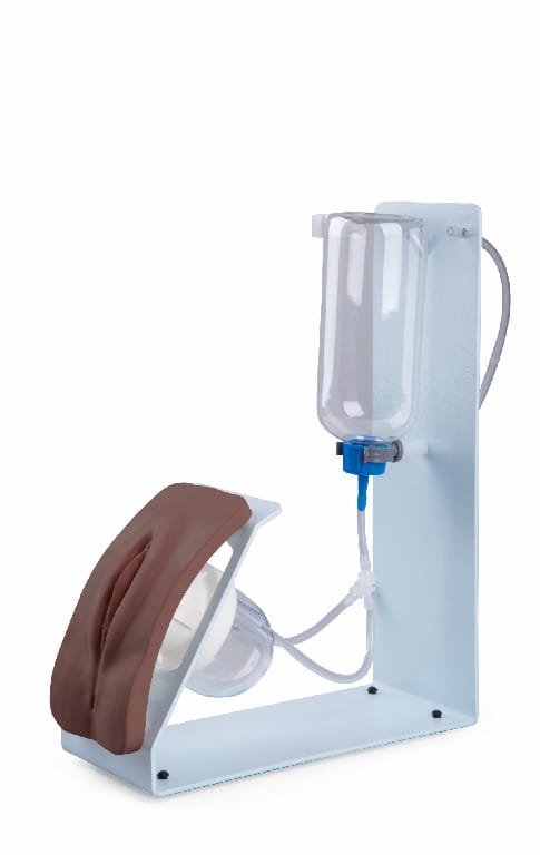 3B Scientific® Catheterization Trainers