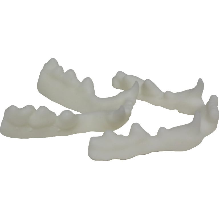 Med Dimensions® Feline Intubation Trainer