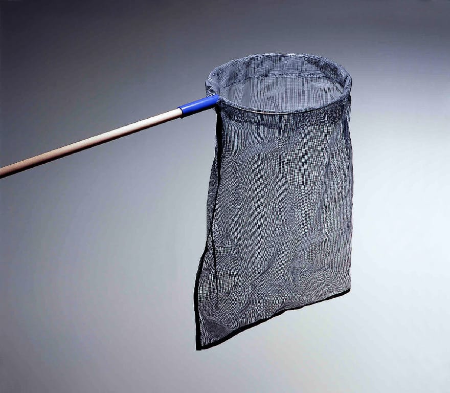 Student Butterfly Net