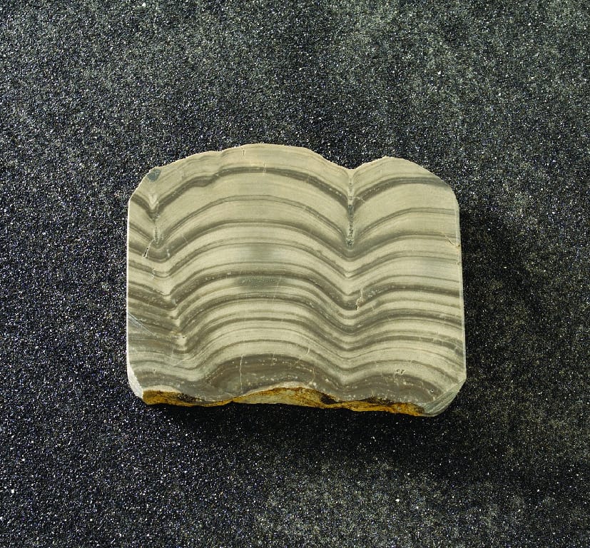 Algal Dolomite (Silurian)