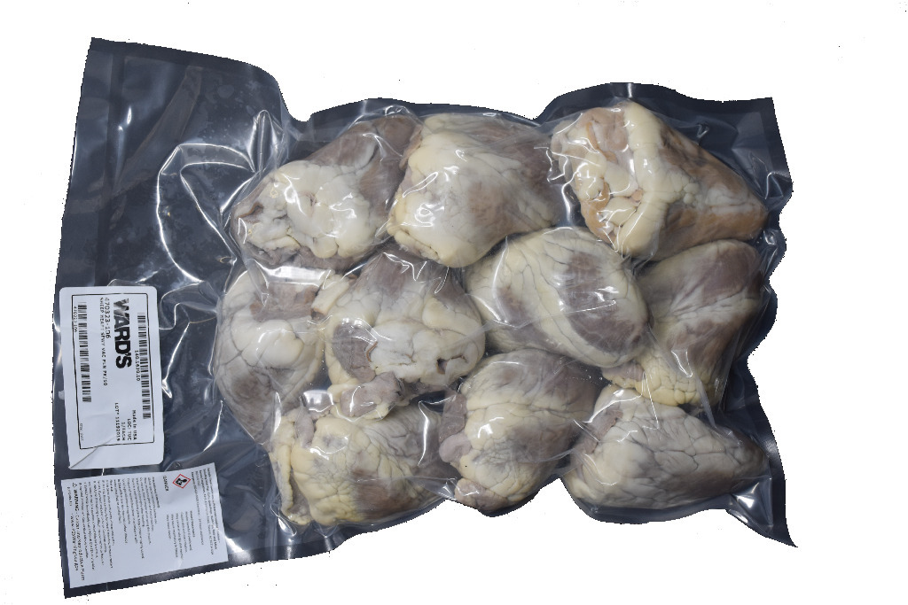 VWR® Formaldehyde-Free Sheep Hearts