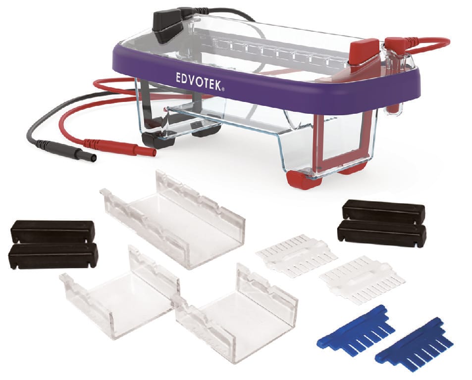 EDVOTEK Dual Gel Electrophoresis Apparatus