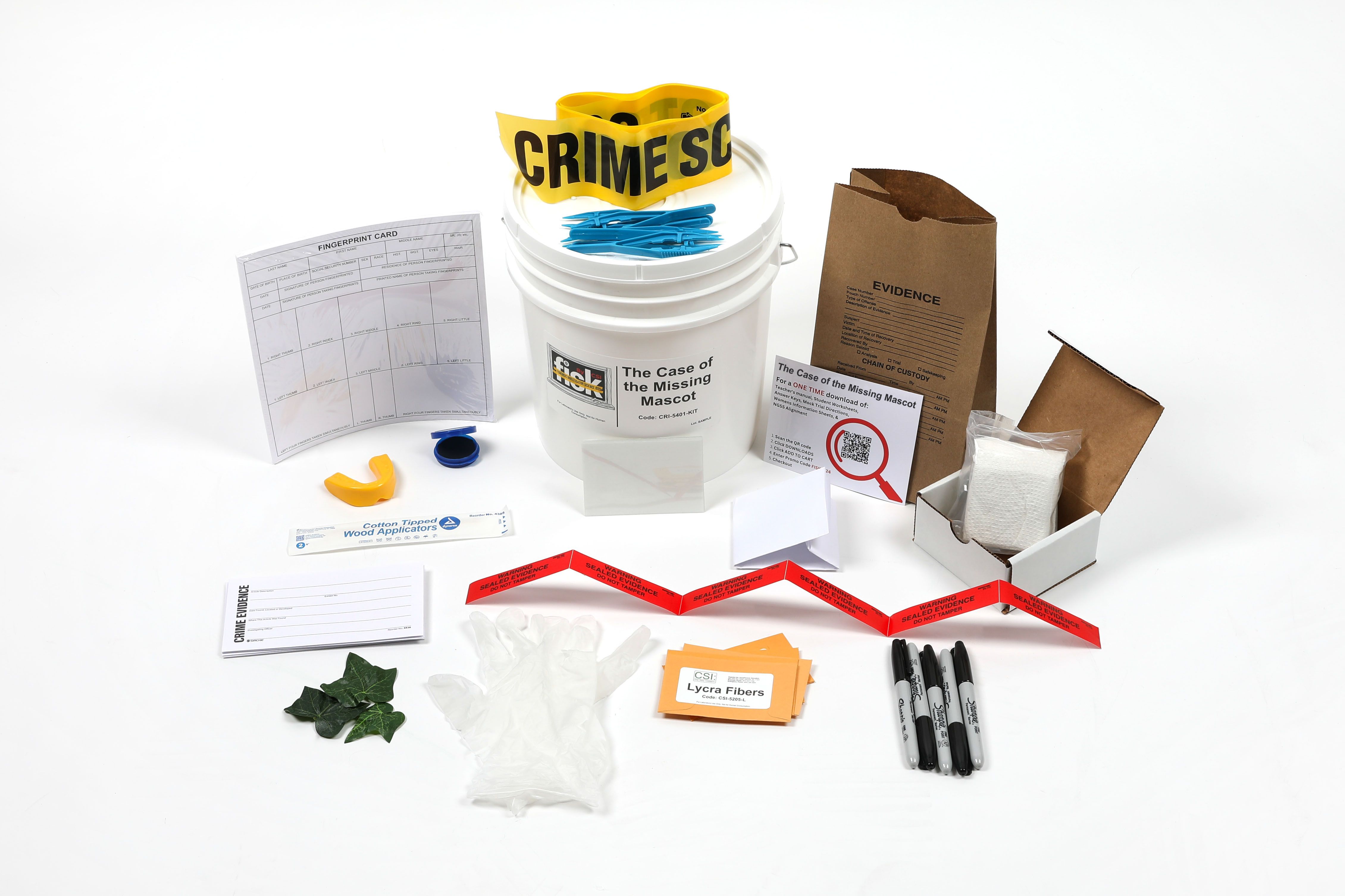 CSI/FISK The Case of the Missing Mascot
