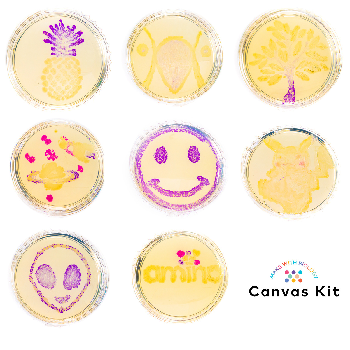 Amino Labs Canvas Kit™