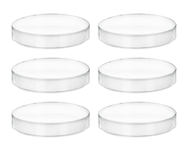 Eisco Polypropylene Petri Dishes with Lid