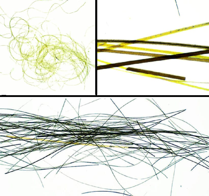 Ward's® Whole-Mounted Hair Slides