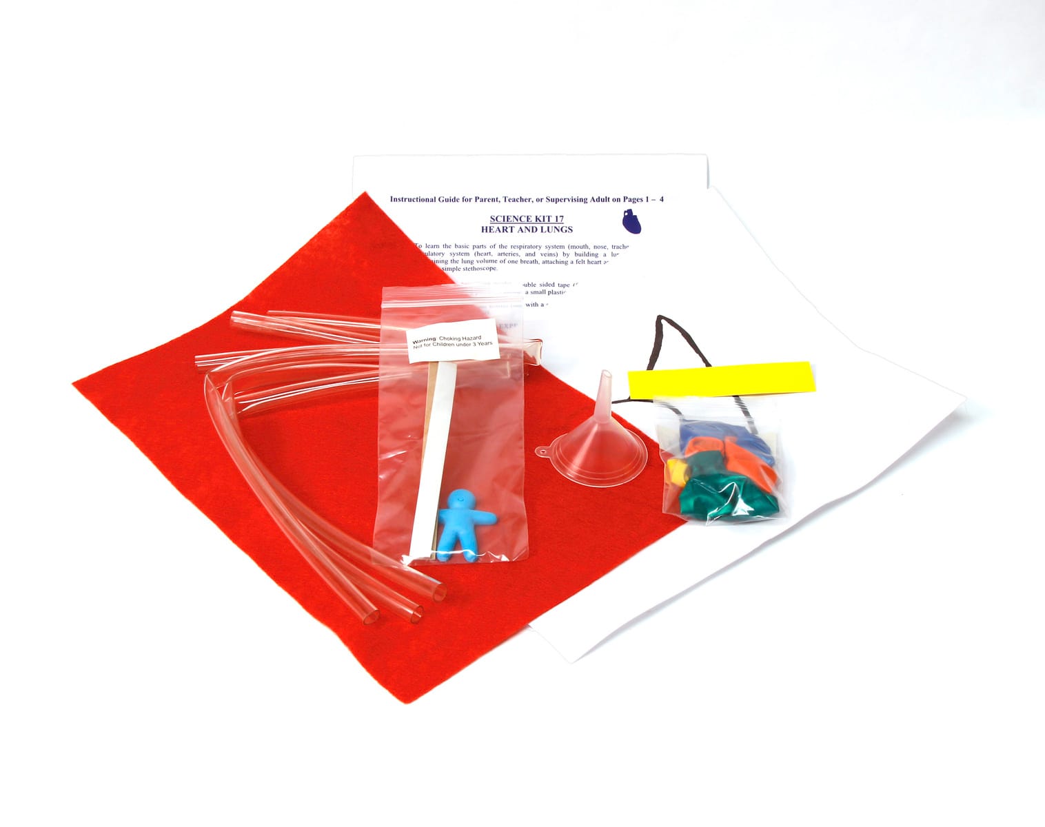 Young Scientist's Club Heart and Lungs Activity Kit