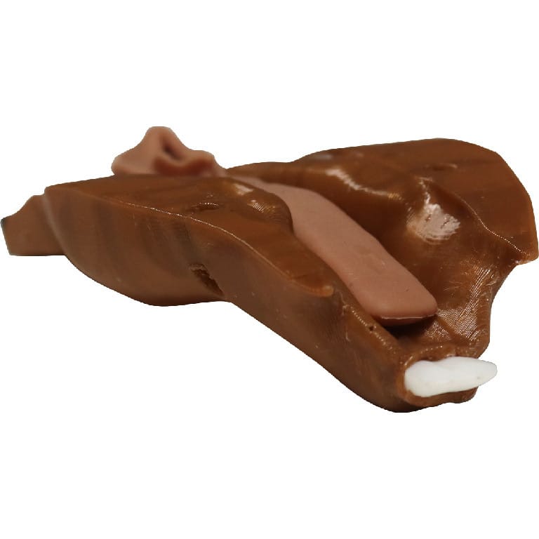 Med Dimensions® Rabbit Intubation Trainer