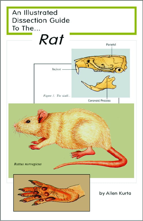 Illustrated Dissection Guides