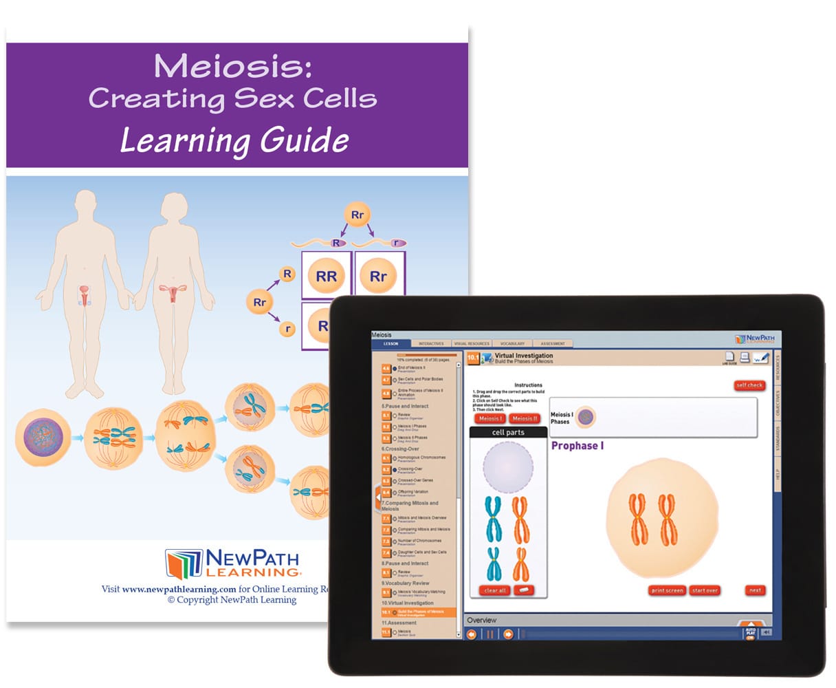 NewPath® Study Guides with Online Lesson