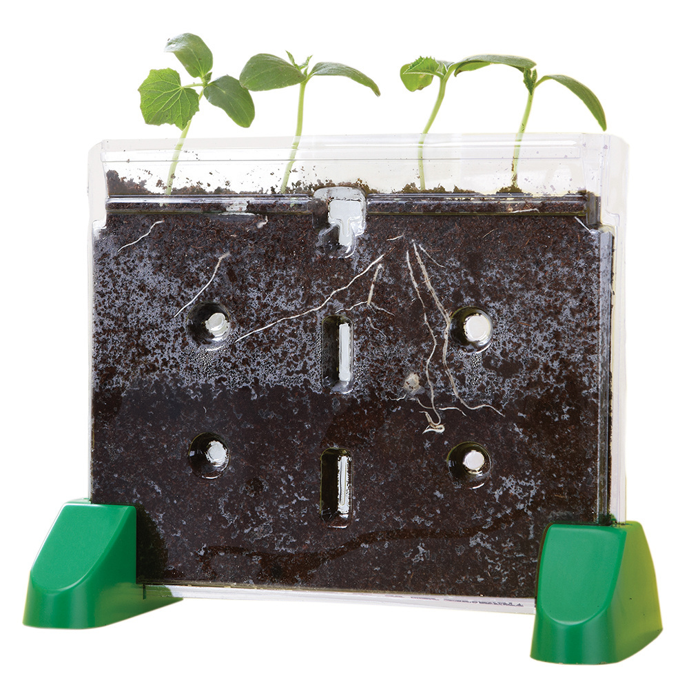 Educational Insights Sprout and Grow™ Window