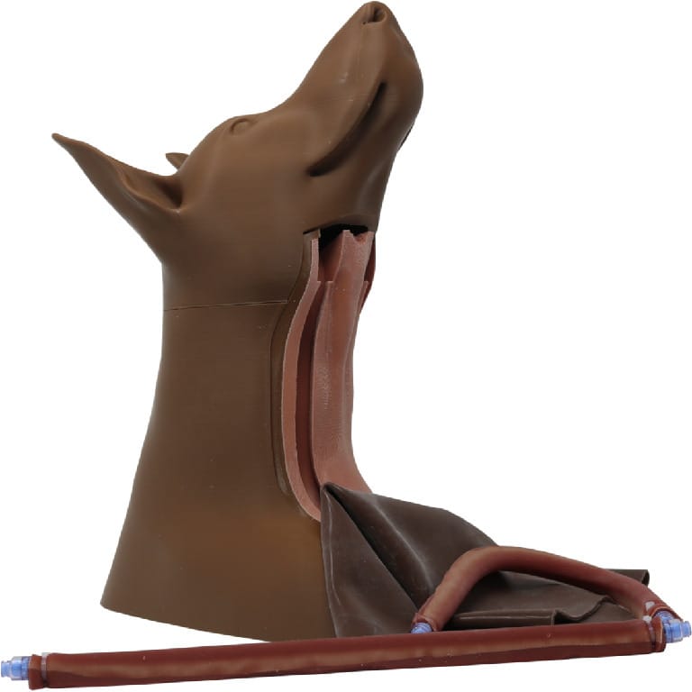 Med Dimensions® Canine Jugular Access Trainer