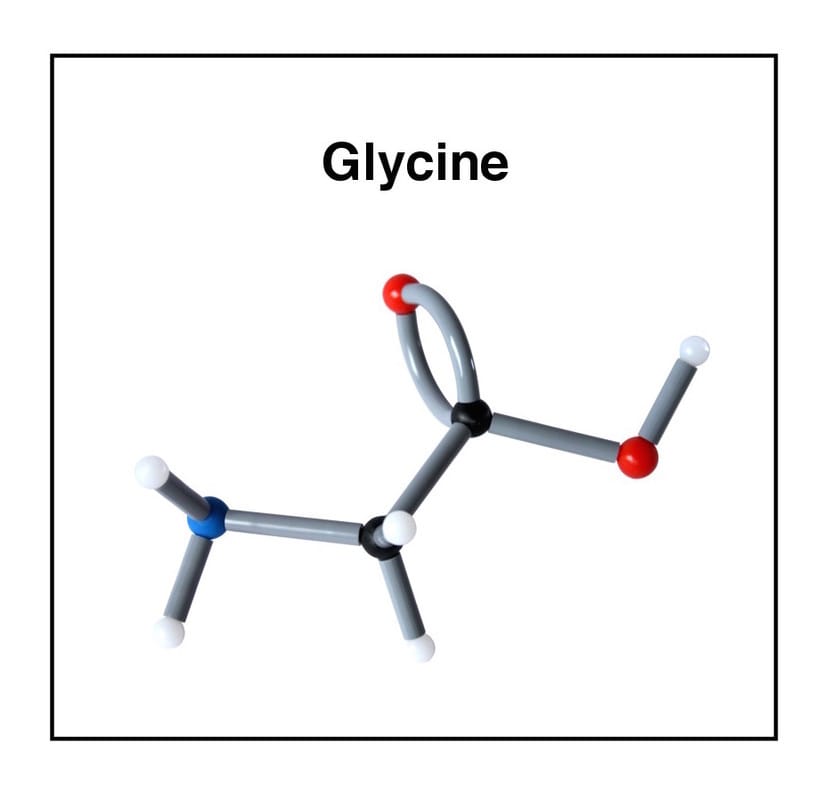 Amino Acids, Set of 20