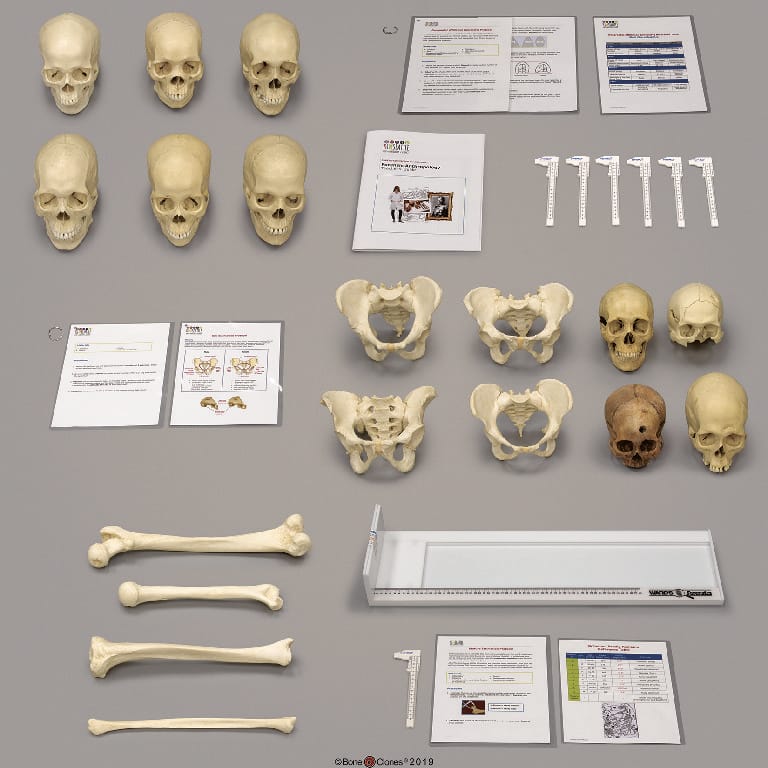 Forensic Anthropology K-12 Set