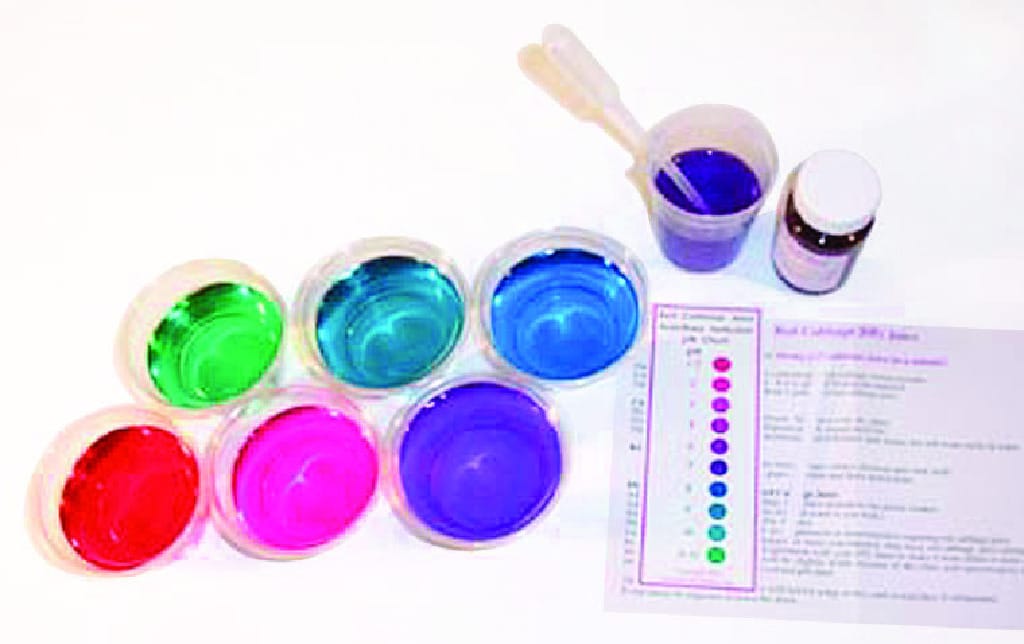 Red Cabbage pH Indicator Kit
