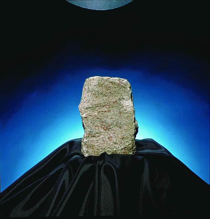 Ward's® Limestone (Encrinal)