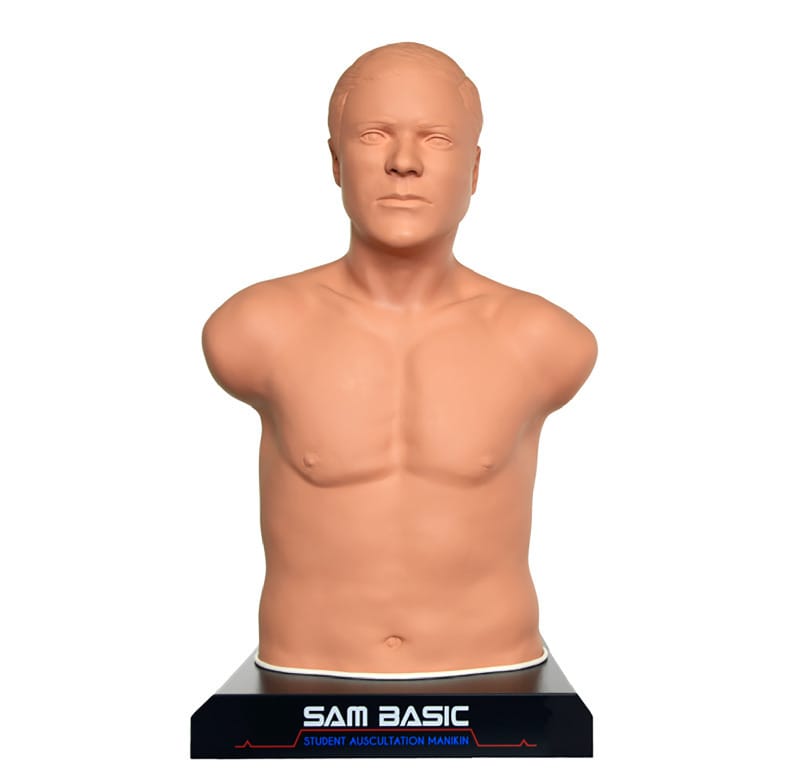 Cardionics® SAM Basic Auscultation Manikin