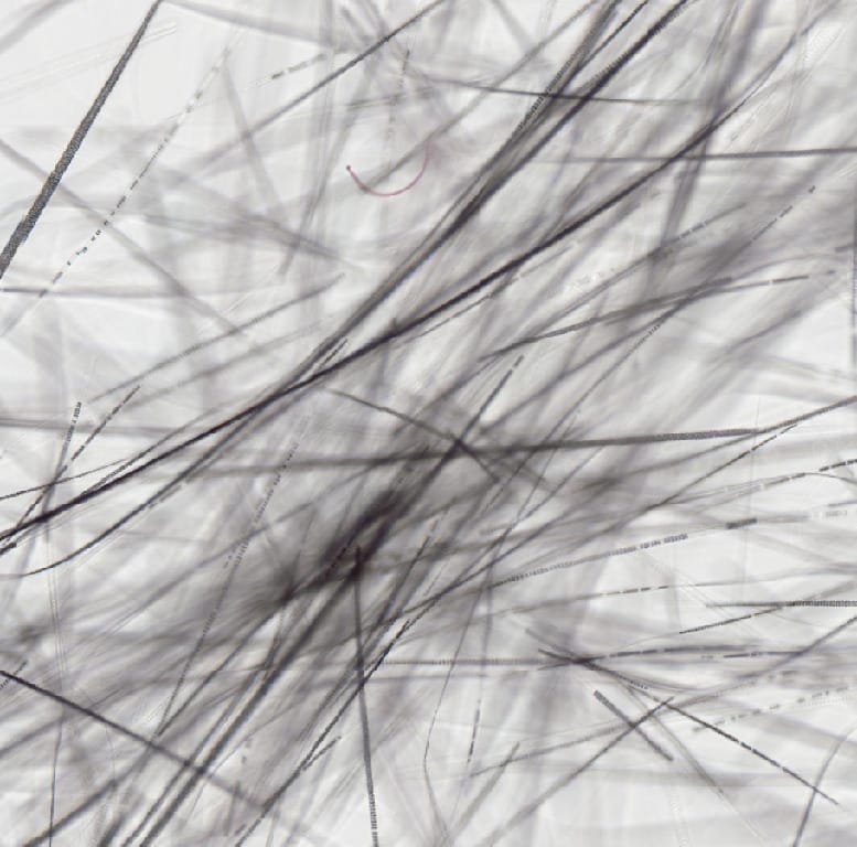 Ward's® Whole-Mounted Hair Slides
