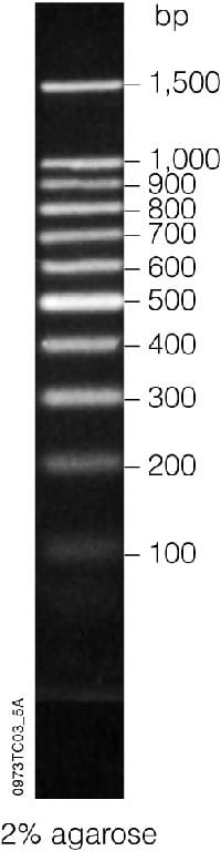 Benchtop DNA Marker