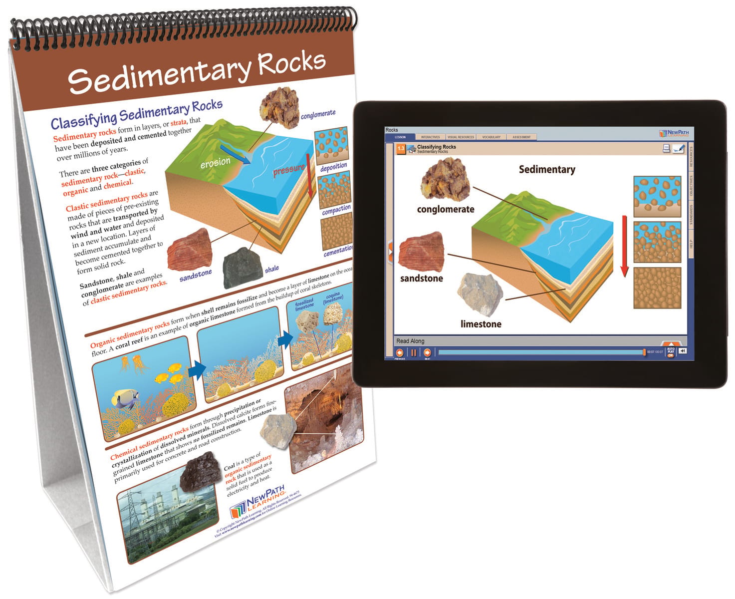 NewPath® Earth Science Skill Builder Flip Charts with Multimedia Lessons