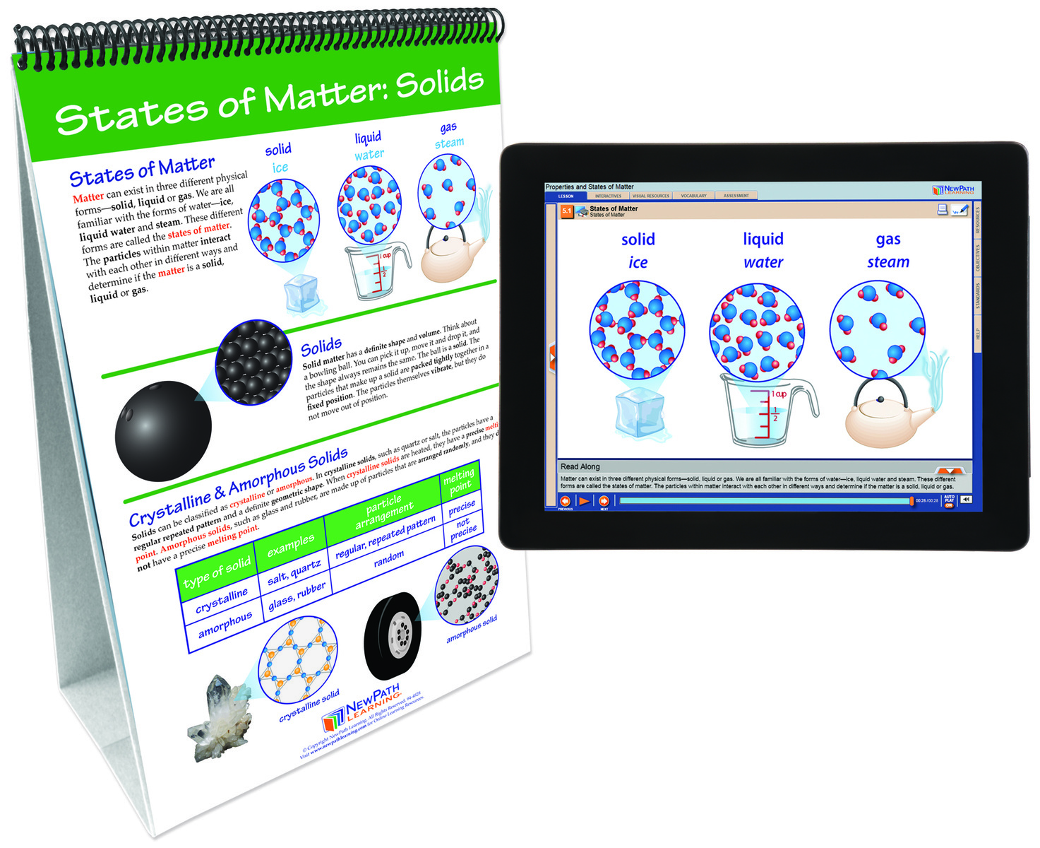 NewPath® Physical Science Skill Builder Flip Charts with Multimedia Lessons