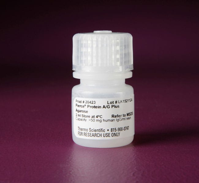 Pierce™ Protein A/G and A/G Plus Agarose, Thermo Scientific