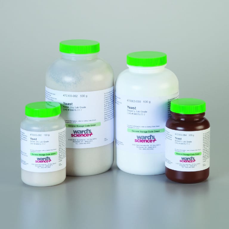Yeast