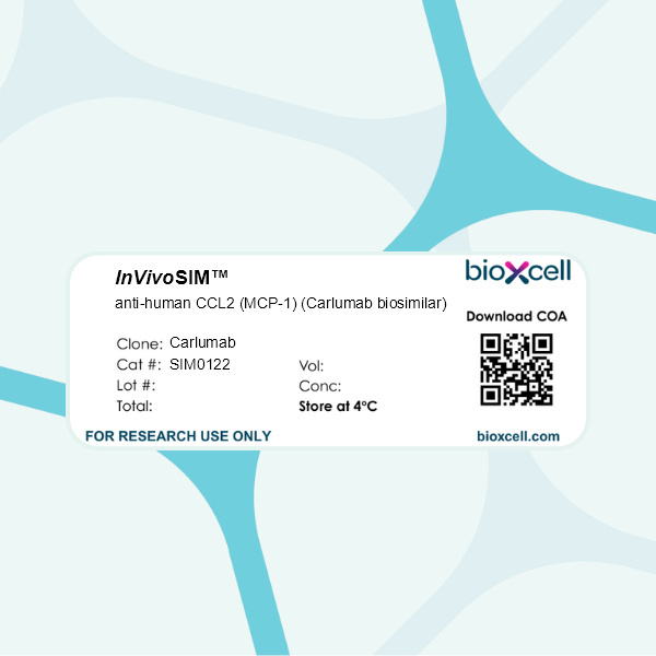Anti-CCL2 Human Antibody [clone: Carlumab] | VWR, part of Avantor