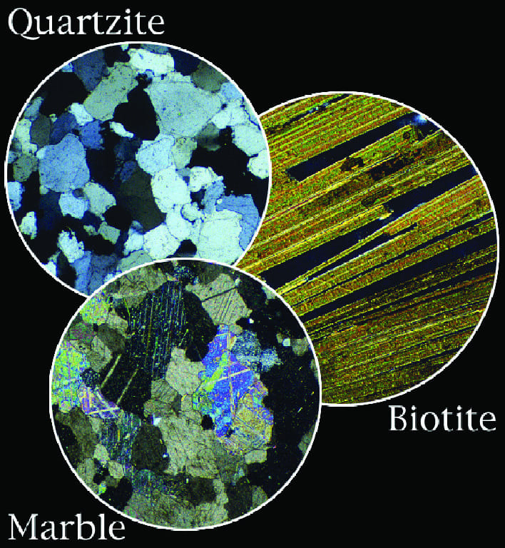 Ward's® Introductory Mineral & Rock Thin Section Set