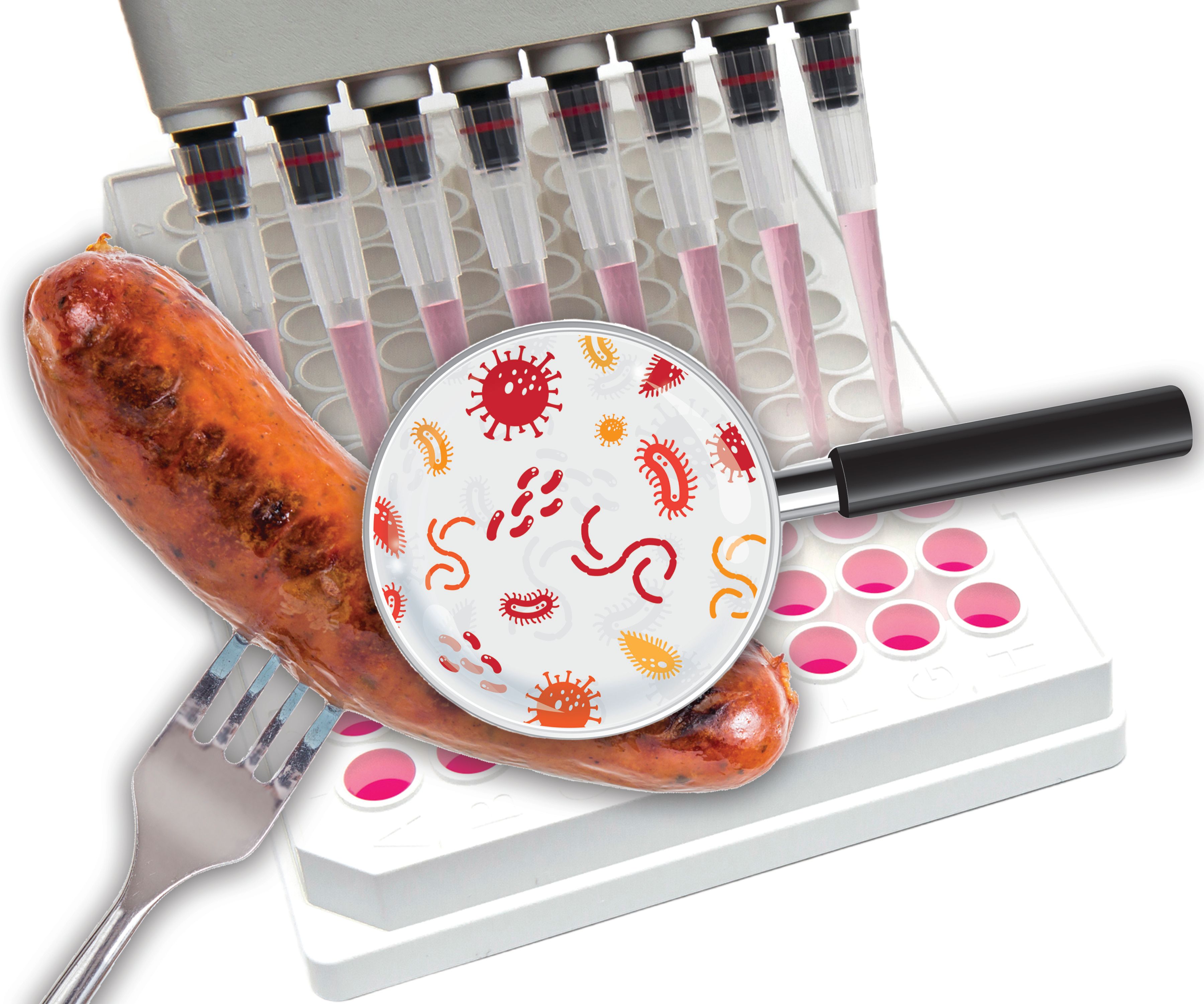 Biotech for Life (BFL): The Wurst Case Scenario
