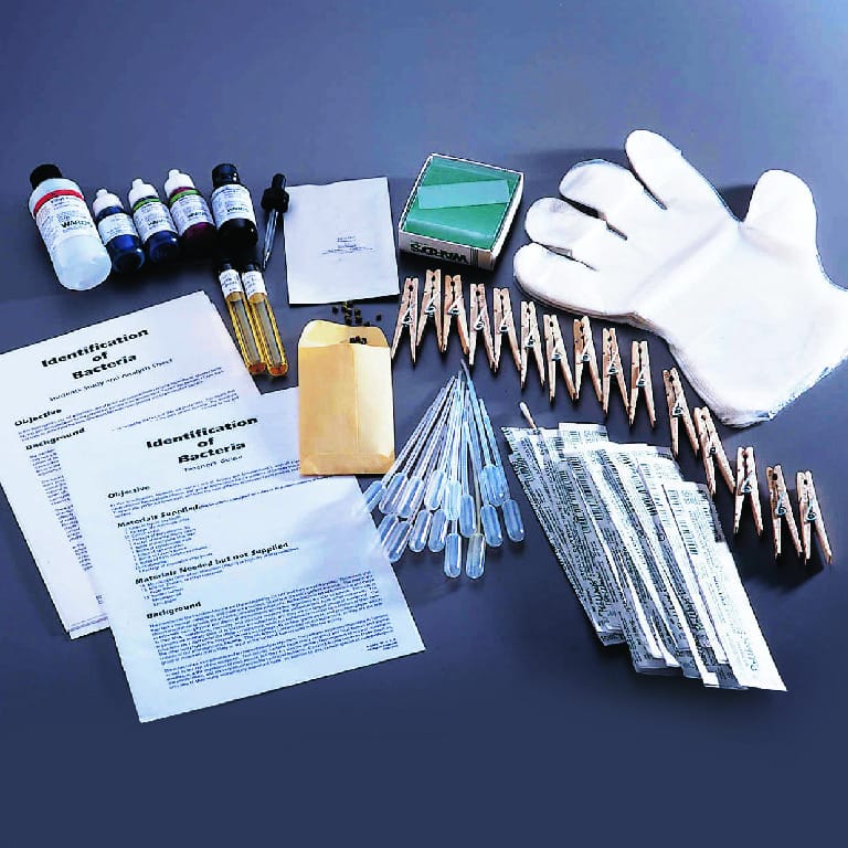 Ward's® Identification of Bacteria: Infusion Lab Activity