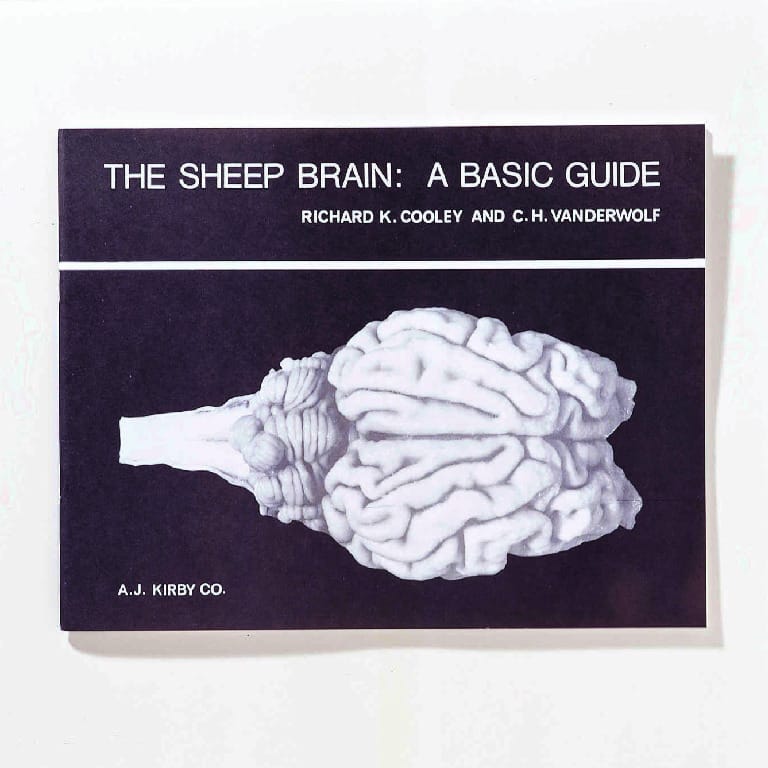 The Sheep Brain, A Basic Guide