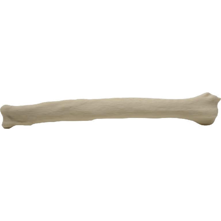 Med Dimensions® Vet Bones, Canine