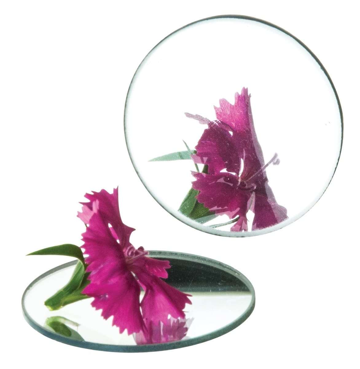 Glass Concave Mirror