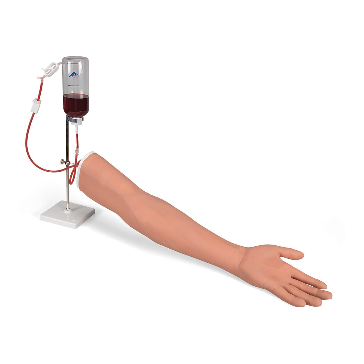 3B Scientific® I.V. Injection Arm
