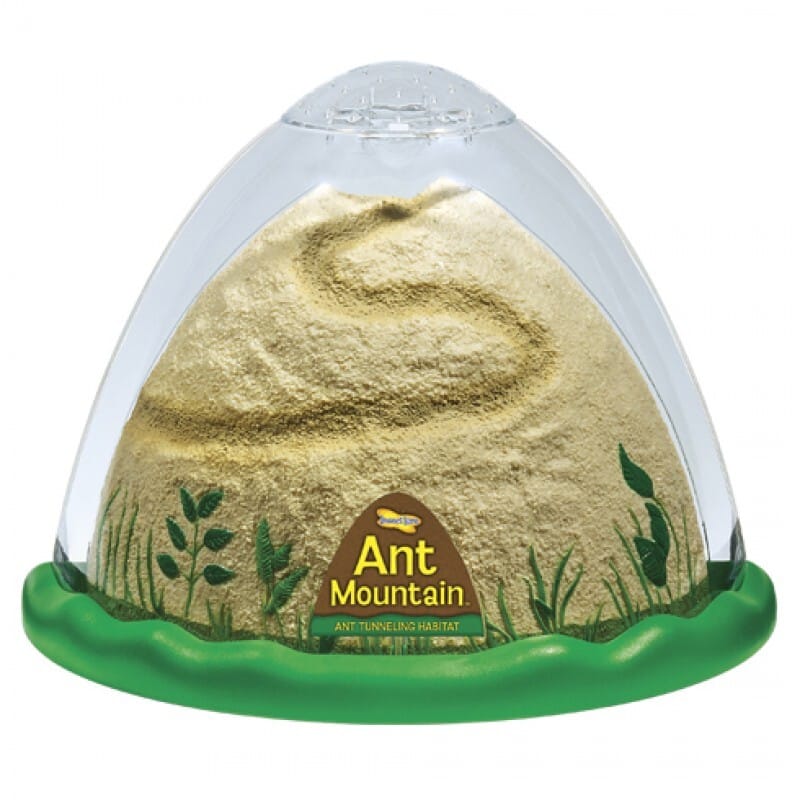 Ant Mountain