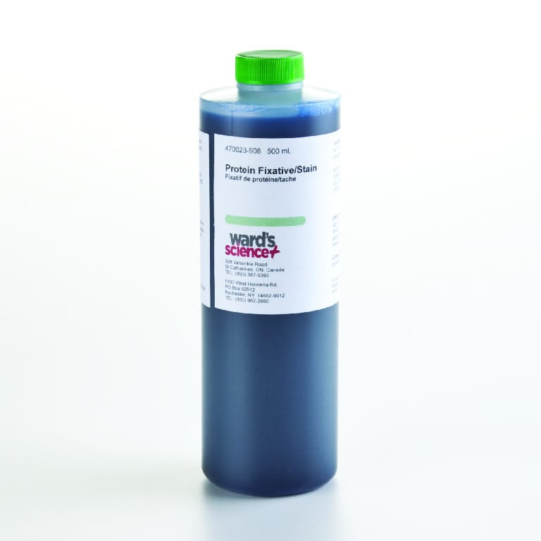 Ward's® Protein Fixative Stain