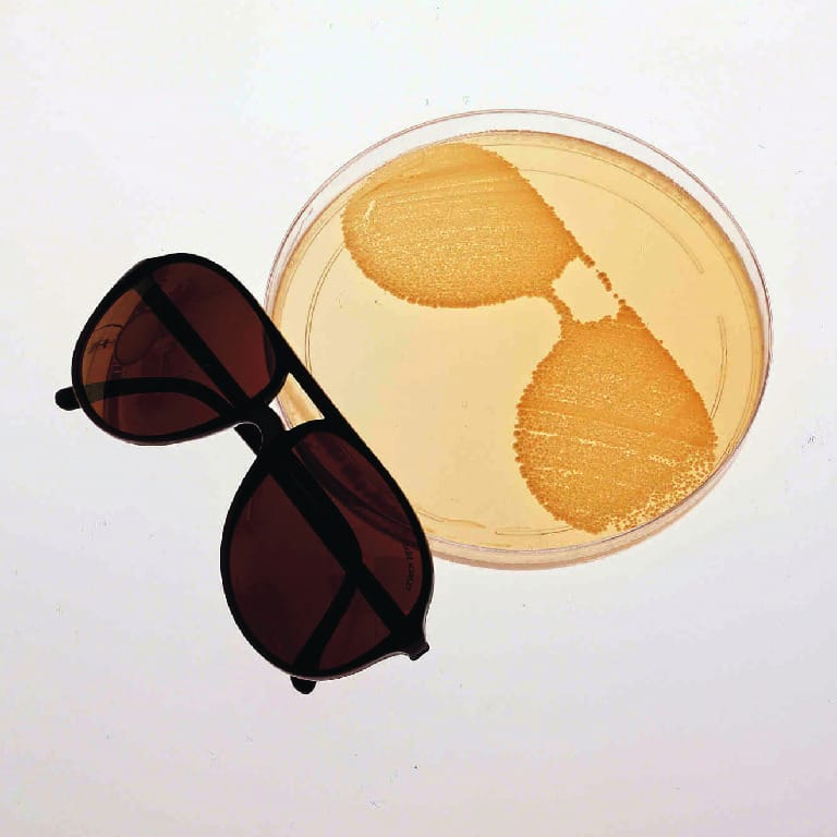 Ward's® Effects of Solar UV Radiation on Cells Lab Activity