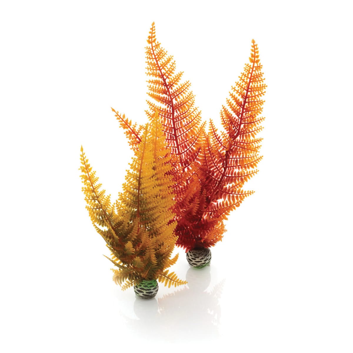 biOrb® Easy Plant Sets