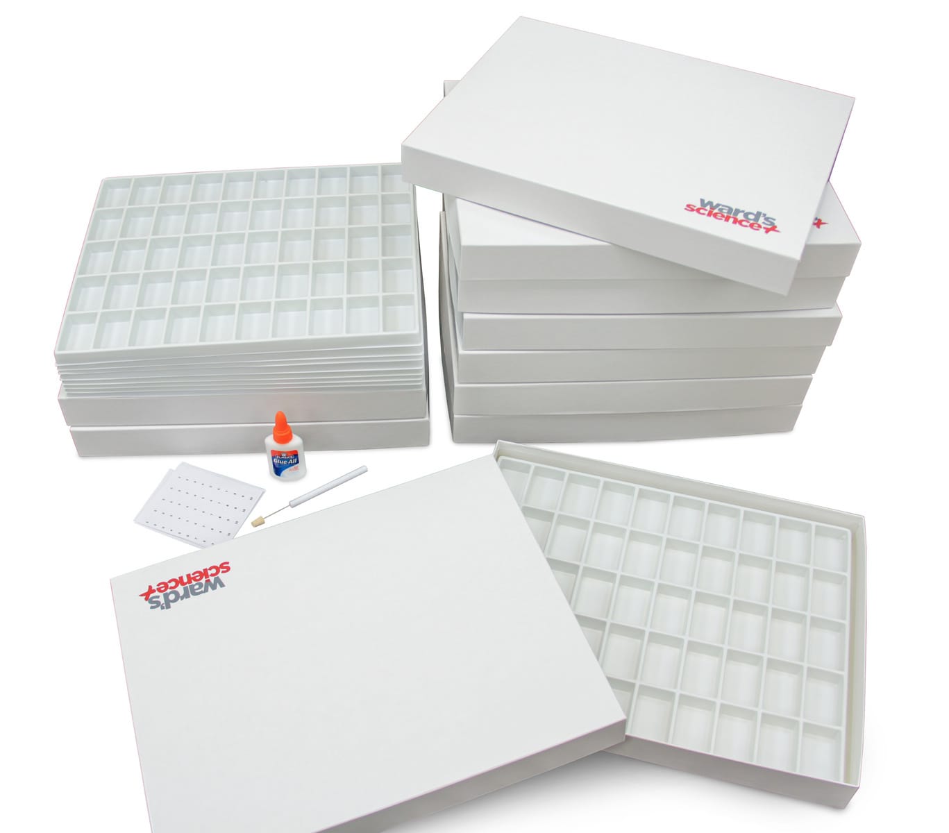 Ward's® Build Your Own Collection Kits
