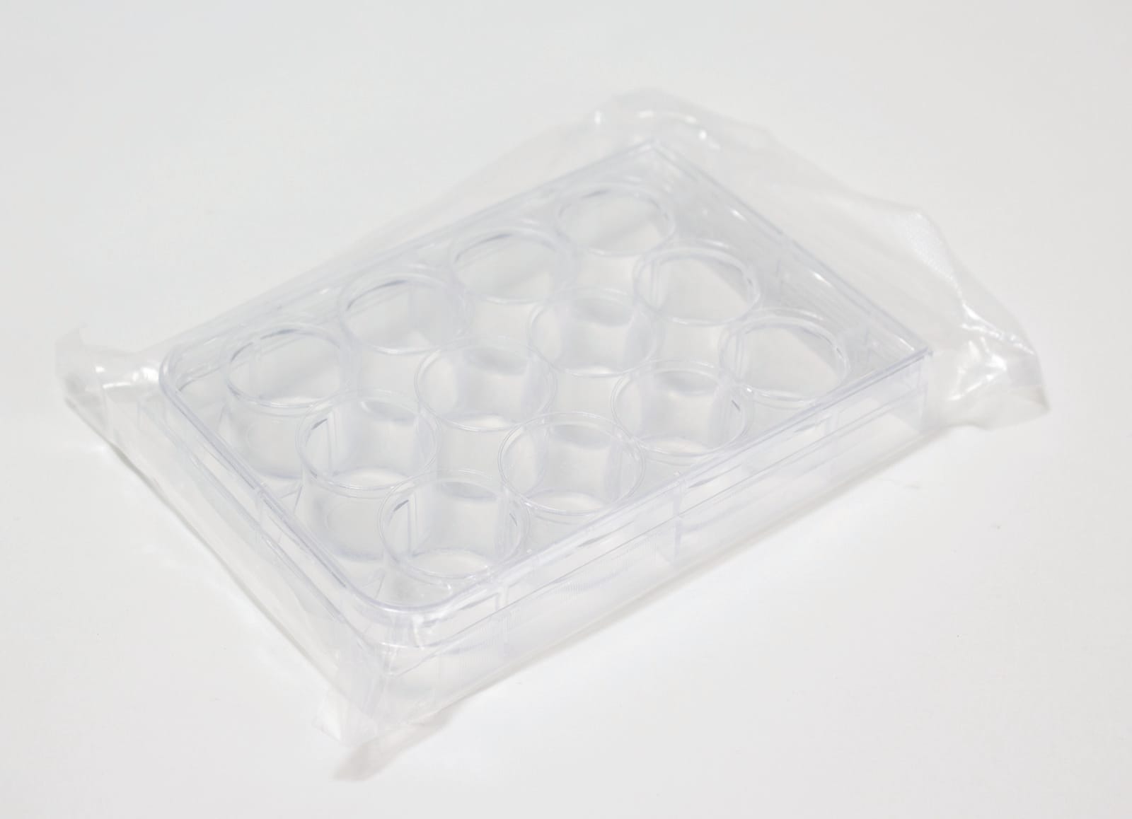 United Scientific Supplies Well Plate, 12-Well, Sterile