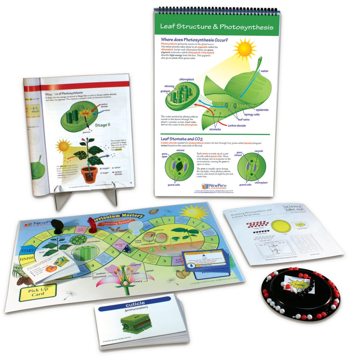 Photosynthesis and Cellular Respiration Curriculum Learning Module, NEWPATH LEARNING LLC