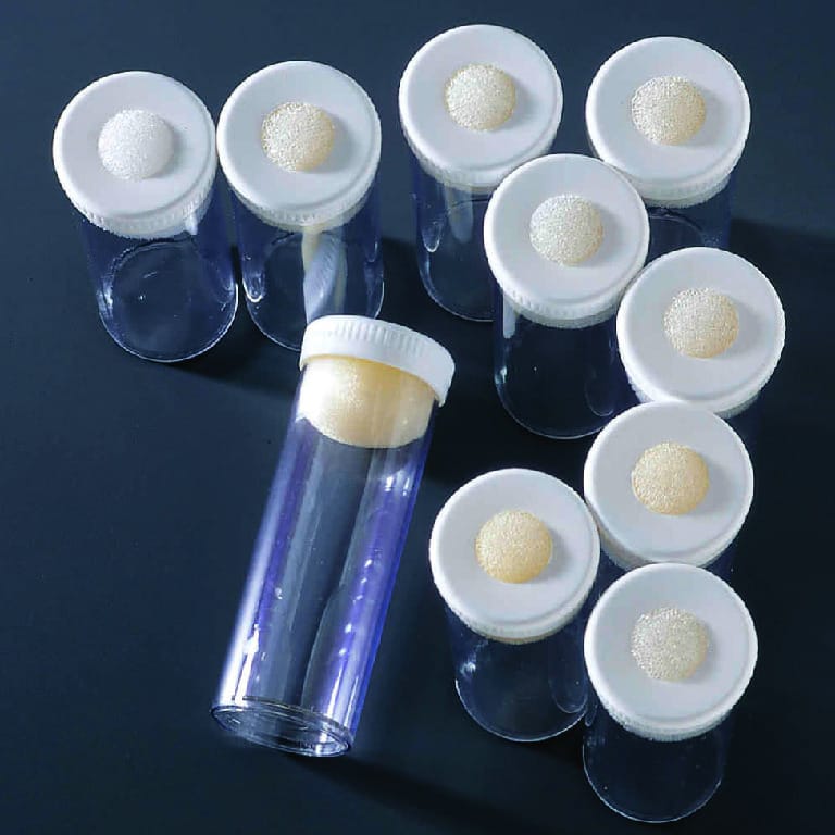 Ward's® Drosophila Vial Set