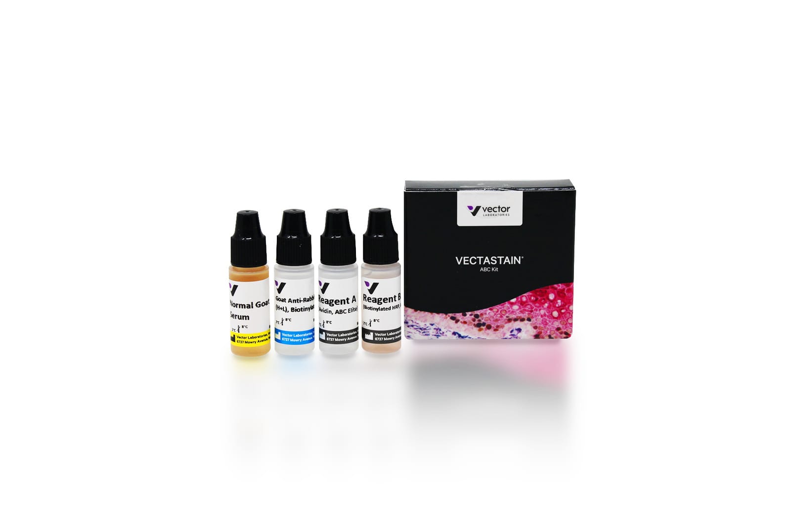 VECTASTAIN® Elite® ABC-Peroxidase Kit | VWR, part of Avantor