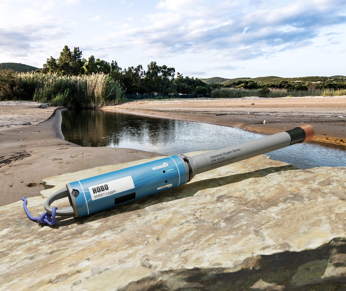 DO and Temperature Data Logger
