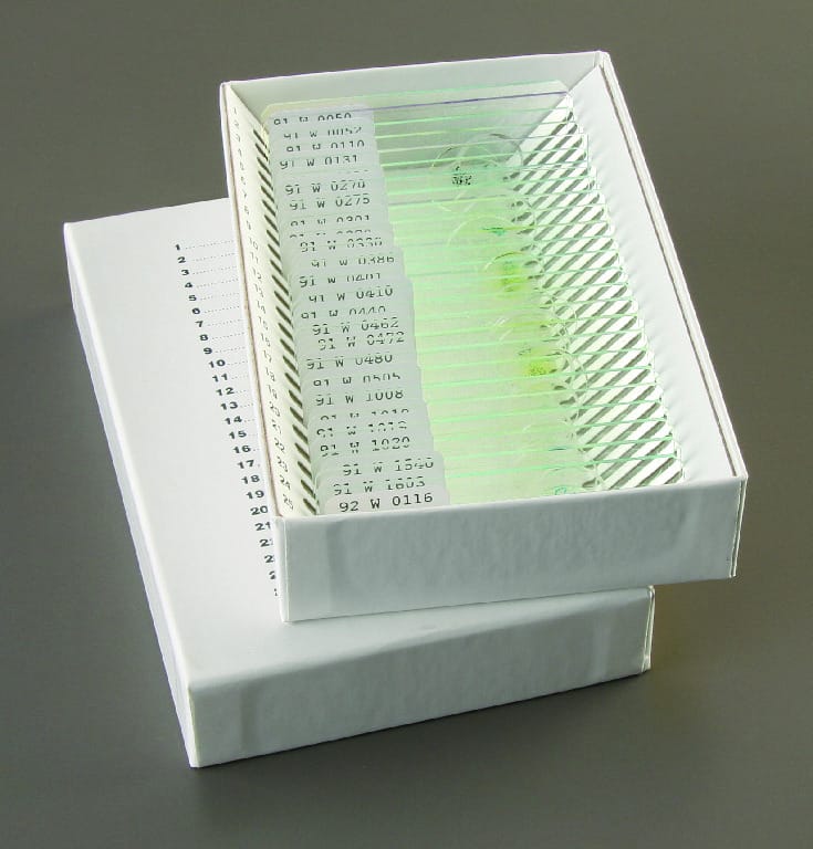 Algae and Environmental Problems Slide Set