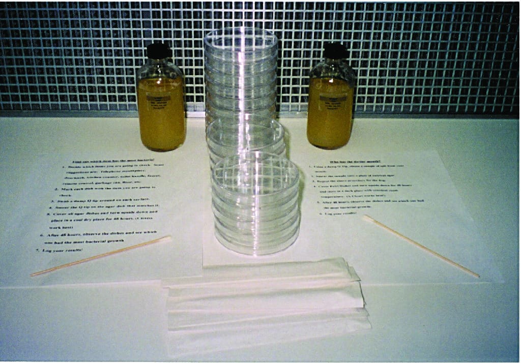 Bacteria Experiment Kit
