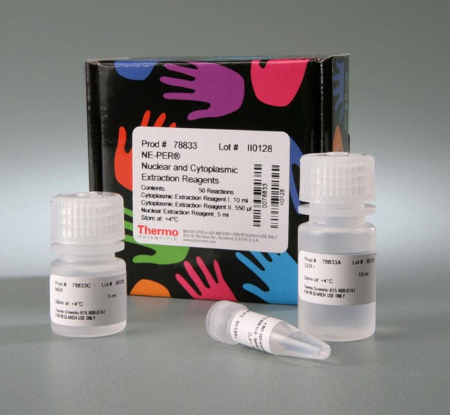 Pierce™ NE-PER® Nuclear and Cytoplasmic Extraction Reagent Kit