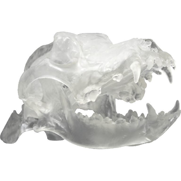 Med Dimensions® Vet Bones, Canine