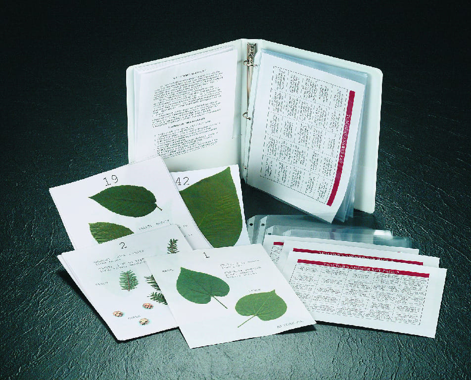 Easy Tree Key: Dichotomous Tree Identification Kit